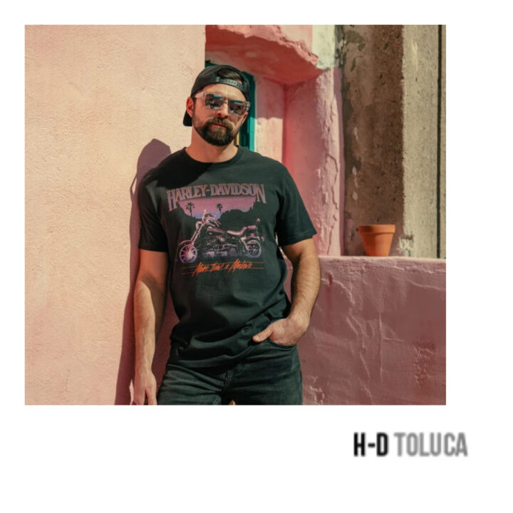 CAMISETA LOWRIDER SUNSET - Imagen 2