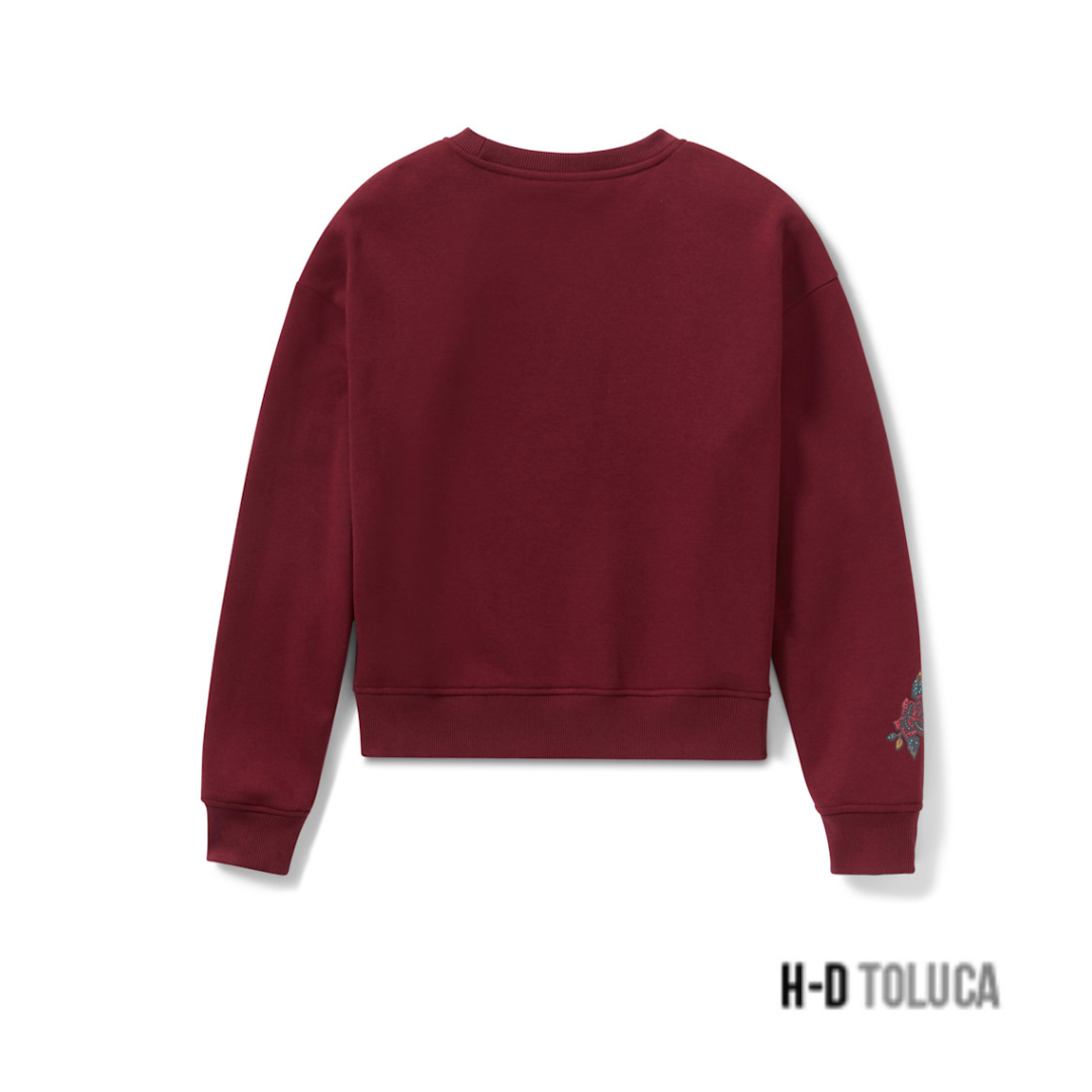 SUDADERA HARLEY-DAVIDSON MAROON BANNER - Image 2