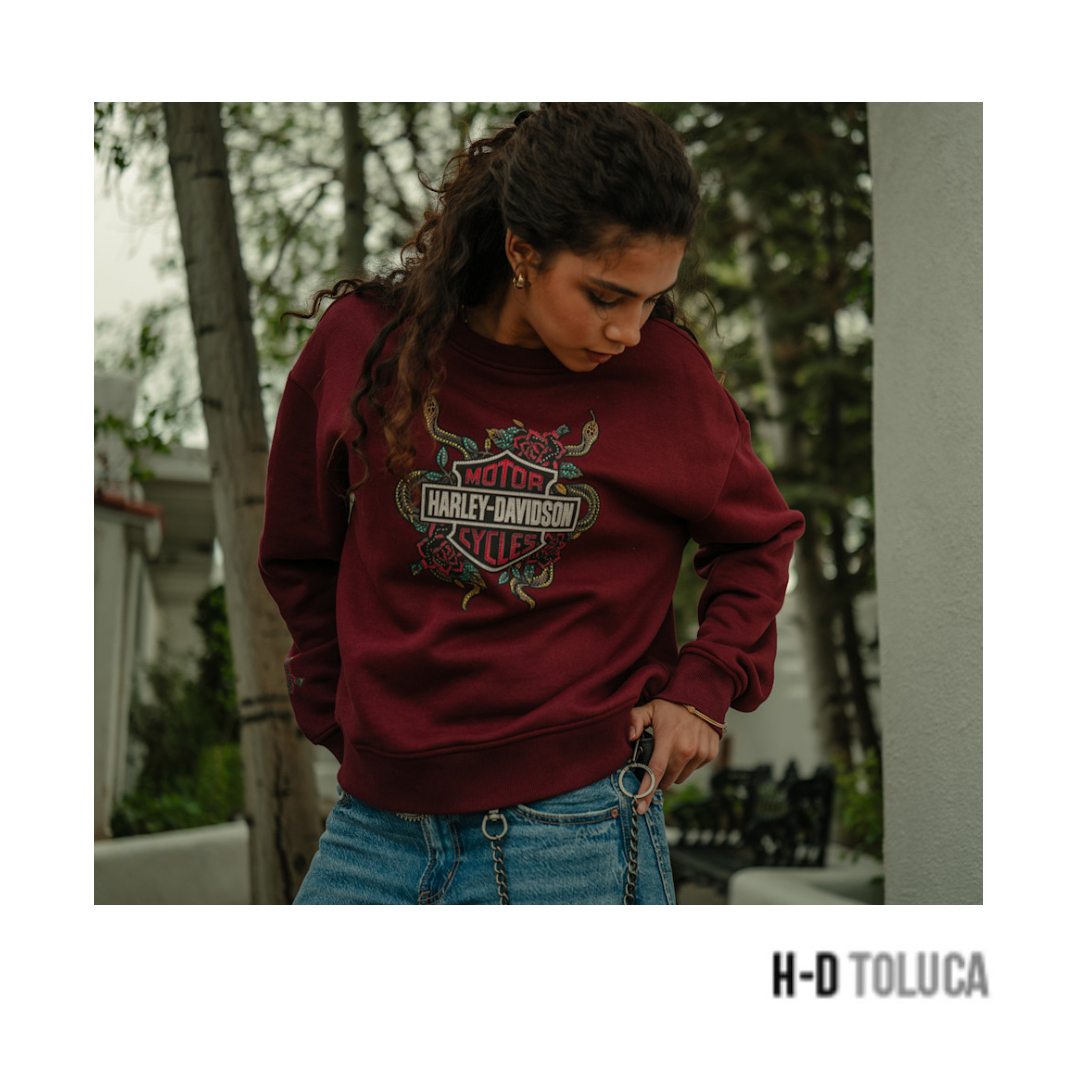 SUDADERA HARLEY-DAVIDSON MAROON BANNER - Image 4