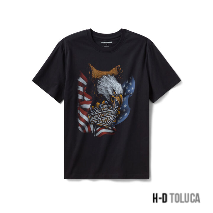 CAMISETA STARS & STRIPES EAGLE PARA HOMBRE
